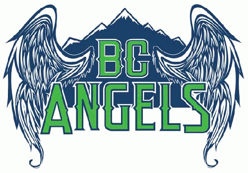 bc angels 2012-pres primary logo iron on transfers for clothing